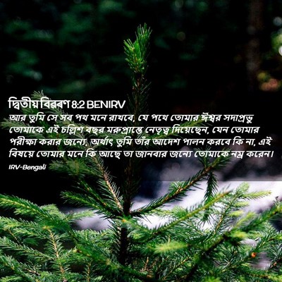 Picture 02 - দ্বিতীয় বিৱৰণ 8:2 BENIRV - আর তুমি সে সব পথ - Bible Verse Picture
