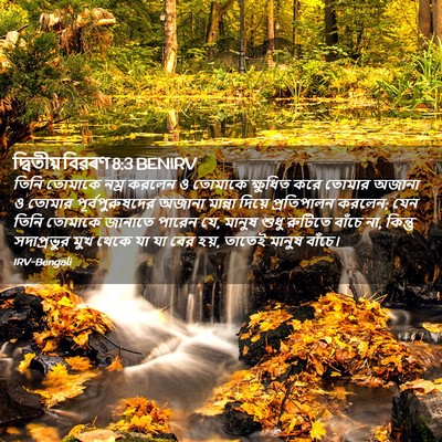 Picture 02 - দ্বিতীয় বিৱৰণ 8:3 BENIRV - তিনি তোমাকে নম্র - Bible Verse Picture