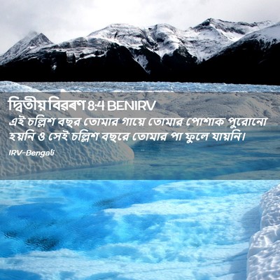 Picture 02 - দ্বিতীয় বিৱৰণ 8:4 BENIRV - এই চল্লিশ বছর - Bible Verse Picture