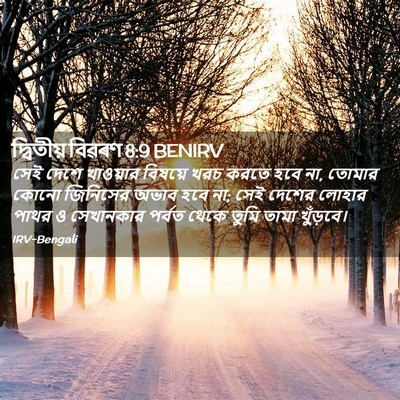Picture 02 - দ্বিতীয় বিৱৰণ 8:9 BENIRV - সেই দেশে খাওয়ার - Bible Verse Picture