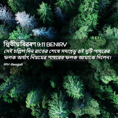 Picture 02 - দ্বিতীয় বিৱৰণ 9:11 BENIRV - সেই চল্লিশ দিন - Bible Verse Picture