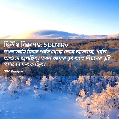 Picture 02 - দ্বিতীয় বিৱৰণ 9:15 BENIRV - তখন আমি ফিরে পর্বত - Bible Verse Picture