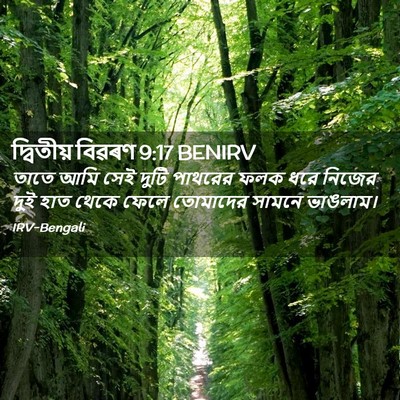 Picture 02 - দ্বিতীয় বিৱৰণ 9:17 BENIRV - তাতে আমি সেই দুটি - Bible Verse Picture
