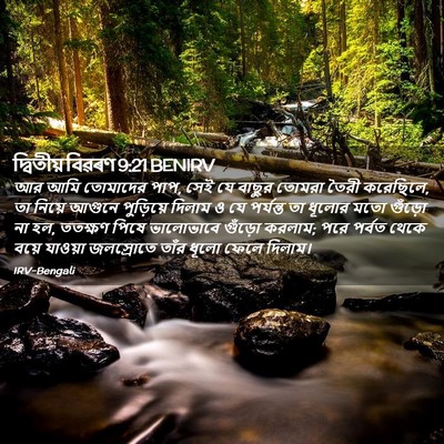 Picture 02 - দ্বিতীয় বিৱৰণ 9:21 BENIRV - আর আমি তোমাদের পাপ, - Bible Verse Picture