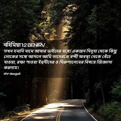 Picture 02 - নহিমিয়া 1:2 BENIRV - তখন হনানি নামে - Bible Verse Picture