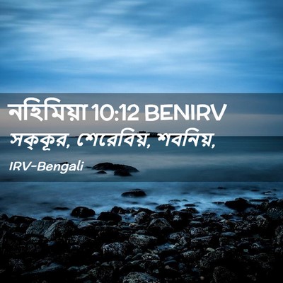 Picture 02 - নহিমিয়া 10:12 BENIRV - সক্কূর, শেরেবিয়, - Bible Verse Picture