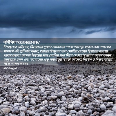 Picture 02 - নহিমিয়া 10:29 BENIRV - নিজেদের ভাইদের, - Bible Verse Picture