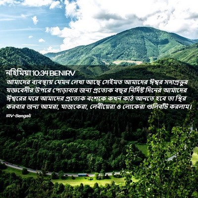 Picture 02 - নহিমিয়া 10:34 BENIRV - আমাদের ব্যবস্থায় - Bible Verse Picture