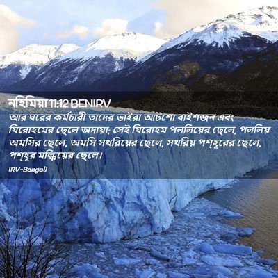 Picture 02 - নহিমিয়া 11:12 BENIRV - আর ঘরের কর্মচারী - Bible Verse Picture