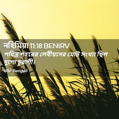 Picture 02 - নহিমিয়া 11:18 BENIRV - পবিত্র শহরের - Bible Verse Picture