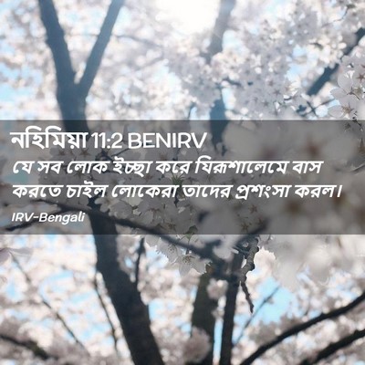 Picture 02 - নহিমিয়া 11:2 BENIRV - যে সব লোক ইচ্ছা করে - Bible Verse Picture