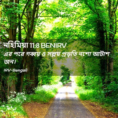 Picture 02 - নহিমিয়া 11:8 BENIRV - এর পরে গব্বয় ও - Bible Verse Picture