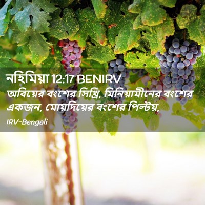 Picture 02 - নহিমিয়া 12:17 BENIRV - অবিয়ের বংশের - Bible Verse Picture