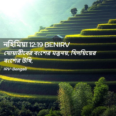 Picture 02 - নহিমিয়া 12:19 BENIRV - যোয়ারীবের বংশের - Bible Verse Picture