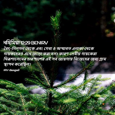 Picture 02 - নহিমিয়া 12:29 BENIRV - বৈৎ-গিল্‌গল থেকে - Bible Verse Picture