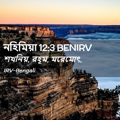 Picture 02 - নহিমিয়া 12:3 BENIRV - শখনিয়, রহূম, - Bible Verse Picture