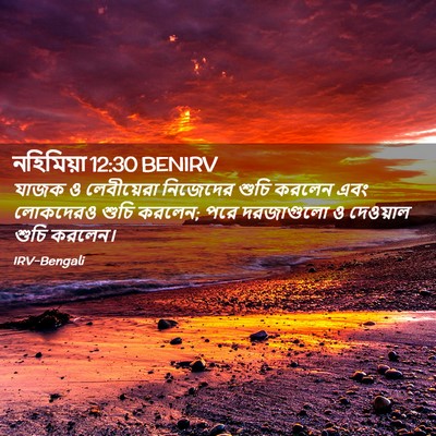 Picture 02 - নহিমিয়া 12:30 BENIRV - যাজক ও লেবীয়েরা - Bible Verse Picture