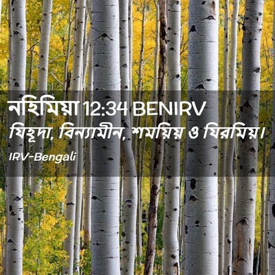 Picture 02 - নহিমিয়া 12:34 BENIRV - যিহূদা, বিন্যামীন, - Bible Verse Picture