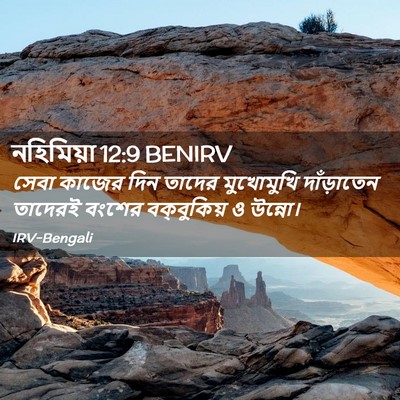 Picture 02 - নহিমিয়া 12:9 BENIRV - সেবা কাজের দিন - Bible Verse Picture