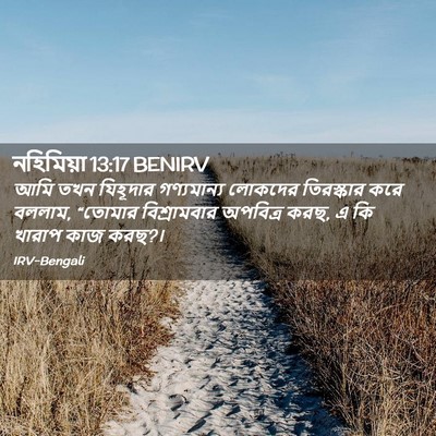 Picture 02 - নহিমিয়া 13:17 BENIRV - আমি তখন যিহূদার - Bible Verse Picture