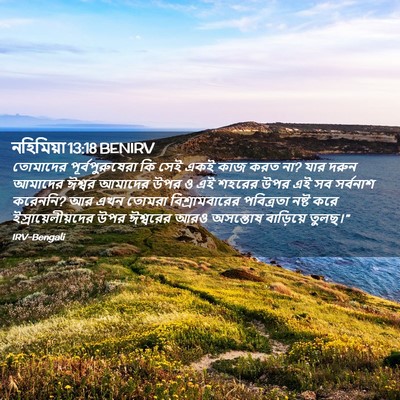 Picture 02 - নহিমিয়া 13:18 BENIRV - তোমাদের - Bible Verse Picture