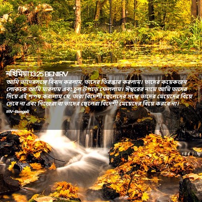Picture 02 - নহিমিয়া 13:25 BENIRV - আমি তাদেরসঙ্গে - Bible Verse Picture