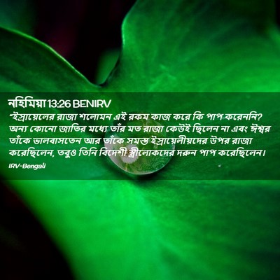 Picture 02 - নহিমিয়া 13:26 BENIRV - “ইস্রায়েলের রাজা - Bible Verse Picture