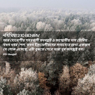 Picture 02 - নহিমিয়া 2:10 BENIRV - আর হোরোণীয় - Bible Verse Picture