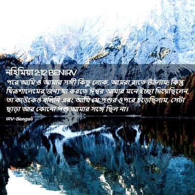Picture 02 - নহিমিয়া 2:12 BENIRV - পরে আমি ও আমার - Bible Verse Picture