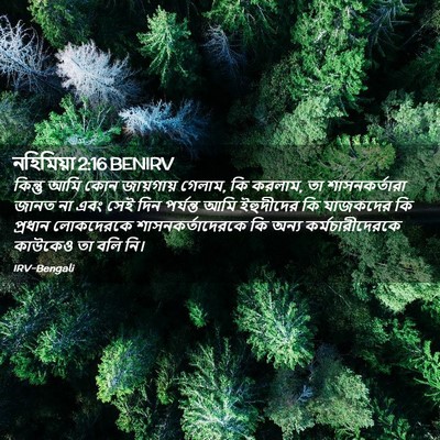 Picture 02 - নহিমিয়া 2:16 BENIRV - কিন্তু আমি কোন - Bible Verse Picture