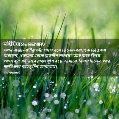 Picture 02 - নহিমিয়া 2:6 BENIRV - তখন রাজা-রাণীও - Bible Verse Picture