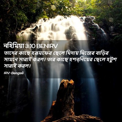 Picture 02 - নহিমিয়া 3:10 BENIRV - তাদের কাছে - Bible Verse Picture