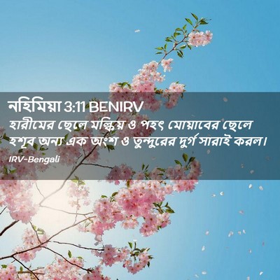 Picture 02 - নহিমিয়া 3:11 BENIRV - হারীমের ছেলে - Bible Verse Picture