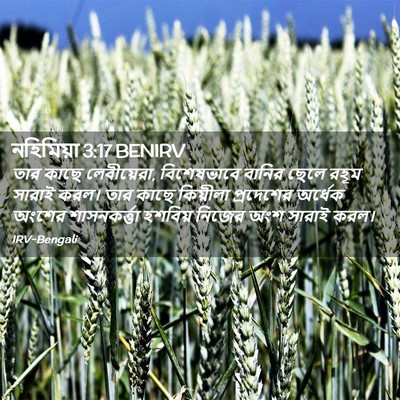 Picture 02 - নহিমিয়া 3:17 BENIRV - তার কাছে - Bible Verse Picture