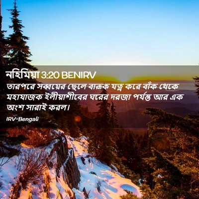 Picture 02 - নহিমিয়া 3:20 BENIRV - তারপরে সব্বয়ের - Bible Verse Picture