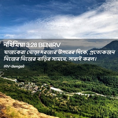 Picture 02 - নহিমিয়া 3:28 BENIRV - যাজকেরা ঘোড়া - Bible Verse Picture