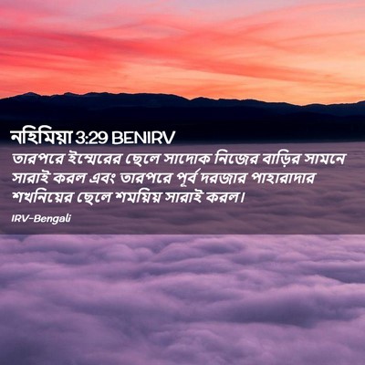 Picture 02 - নহিমিয়া 3:29 BENIRV - তারপরে ইম্মেরের - Bible Verse Picture