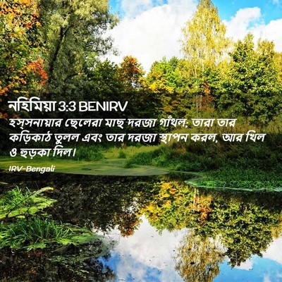 Picture 02 - নহিমিয়া 3:3 BENIRV - হস্‌সনায়ার - Bible Verse Picture