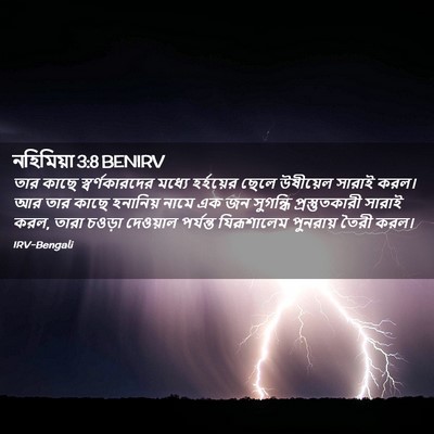 Picture 02 - নহিমিয়া 3:8 BENIRV - তার কাছে - Bible Verse Picture