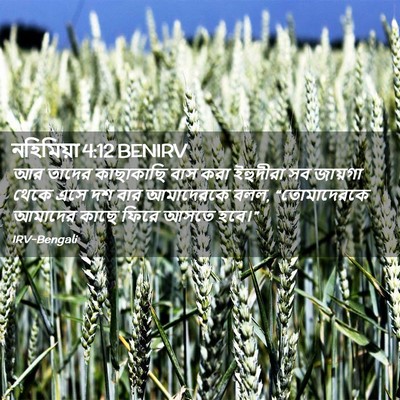 Picture 02 - নহিমিয়া 4:12 BENIRV - আর তাদের কাছাকাছি - Bible Verse Picture