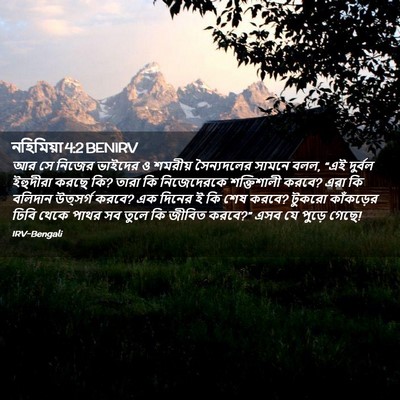 Picture 02 - নহিমিয়া 4:2 BENIRV - আর সে নিজের ভাইদের - Bible Verse Picture