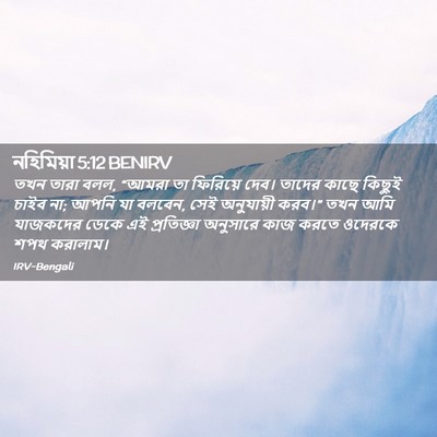 Picture 02 - নহিমিয়া 5:12 BENIRV - তখন তারা বলল, “আমরা - Bible Verse Picture