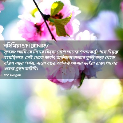 Picture 02 - নহিমিয়া 5:14 BENIRV - সুতরাং আমি যে - Bible Verse Picture