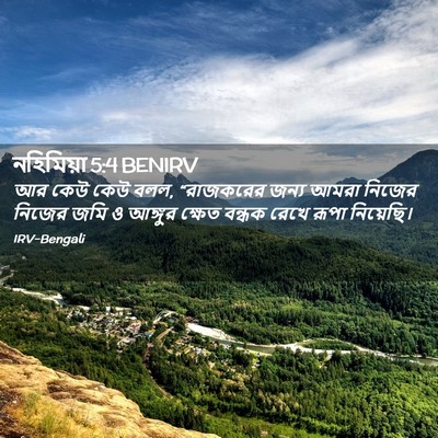 Picture 02 - নহিমিয়া 5:4 BENIRV - আর কেউ কেউ বলল, - Bible Verse Picture