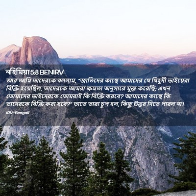 Picture 02 - নহিমিয়া 5:8 BENIRV - আর আমি তাদেরকে - Bible Verse Picture