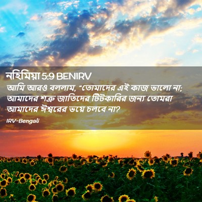 Picture 02 - নহিমিয়া 5:9 BENIRV - আমি আরও বললাম, - Bible Verse Picture