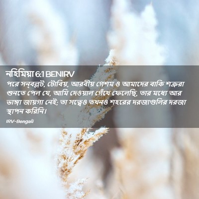 Picture 02 - নহিমিয়া 6:1 BENIRV - পরে সন্‌বল্লট, - Bible Verse Picture