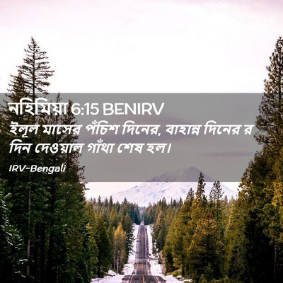 Picture 02 - নহিমিয়া 6:15 BENIRV - ইলূল মাসের পঁচিশ - Bible Verse Picture