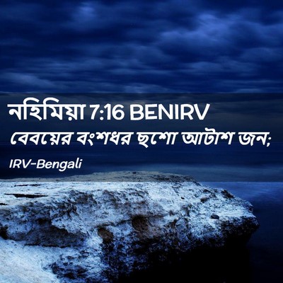 Picture 02 - নহিমিয়া 7:16 BENIRV - বেবয়ের বংশধর ছশো - Bible Verse Picture
