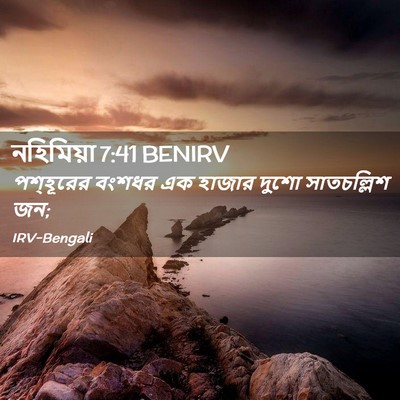 Picture 02 - নহিমিয়া 7:41 BENIRV - পশ্‌হূরের বংশধর - Bible Verse Picture